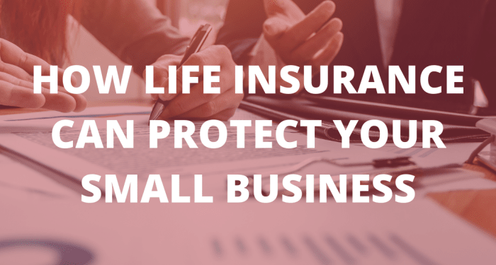 HOW LIFE Insurance Can Protect Your Small Business - USA Mutual Insurance