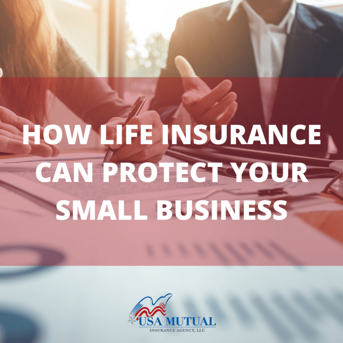 HOW LIFE Insurance Can Protect Your Small Business - USA Mutual Insurance HOW LIFE Insurance Can Protect Your Small Business - USA Mutual Insurance